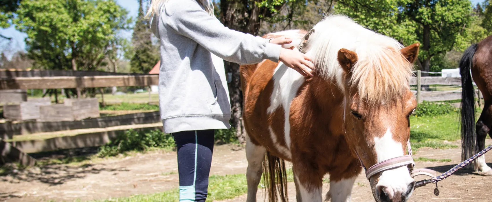 Campingpark Gitzenweiler Hof