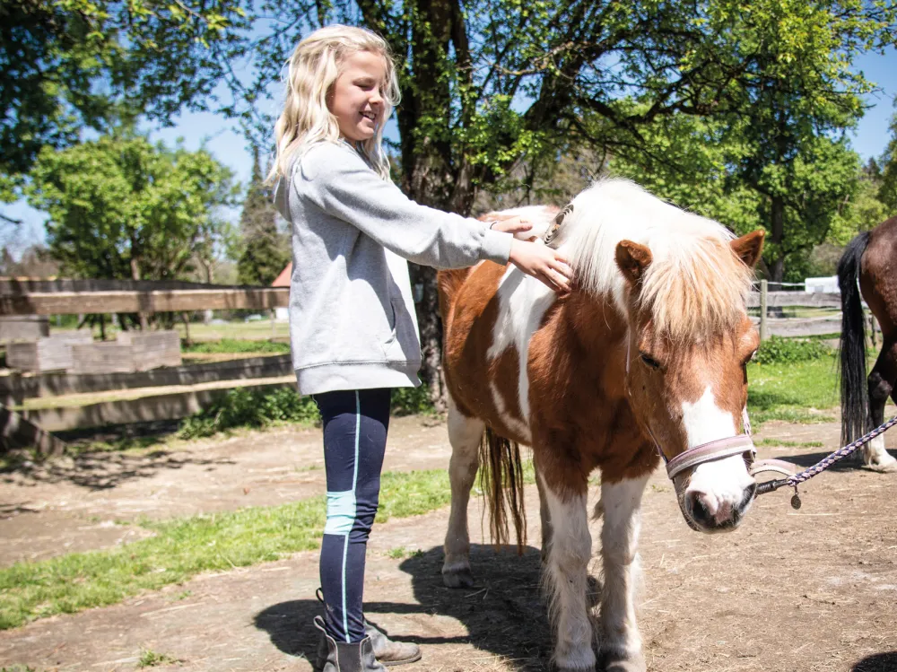 Campingpark Gitzenweiler Hof