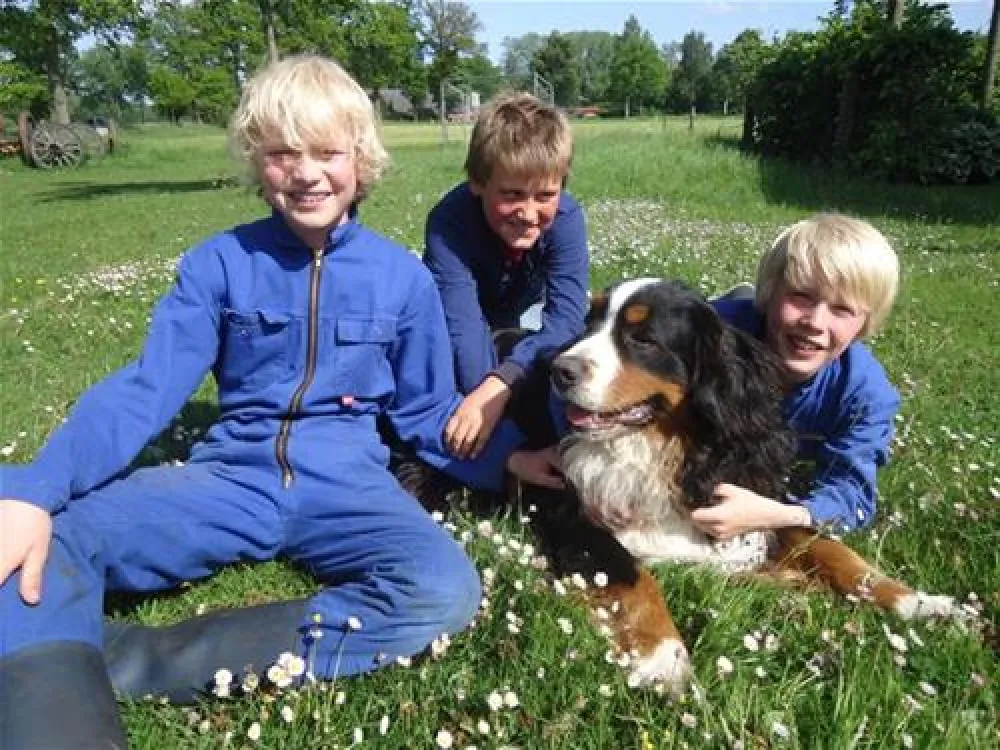 Boerderij camping De Wezel