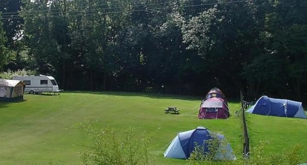 Cedar Gables Campsite