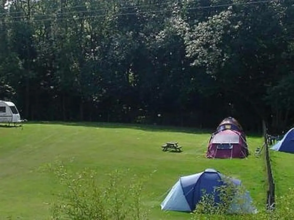 Cedar Gables Campsite