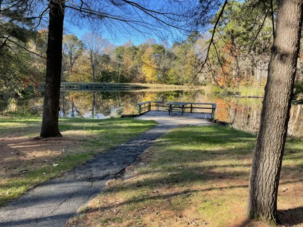 Martin State Forest Campground