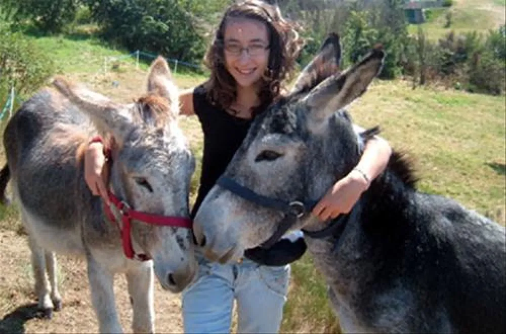 Les Terrasses du lac de Naussac