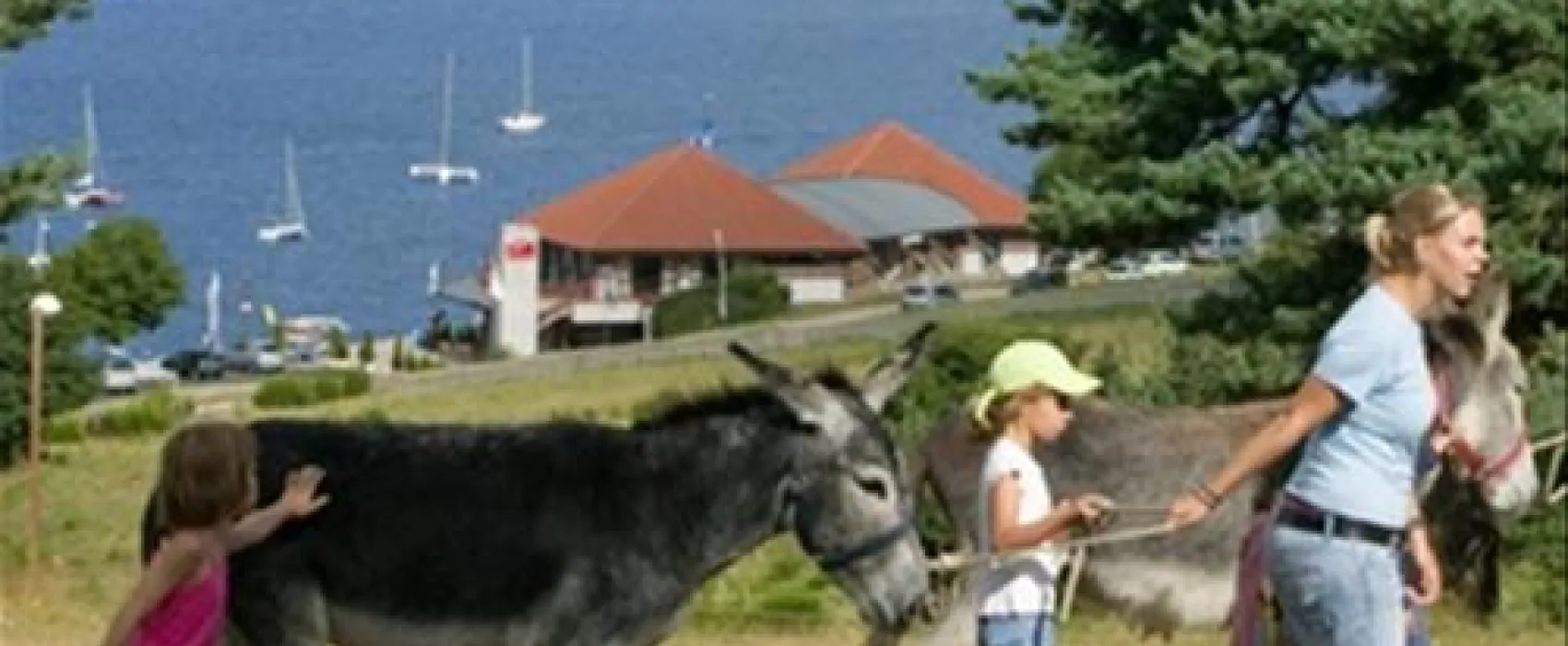 Les Terrasses du lac de Naussac