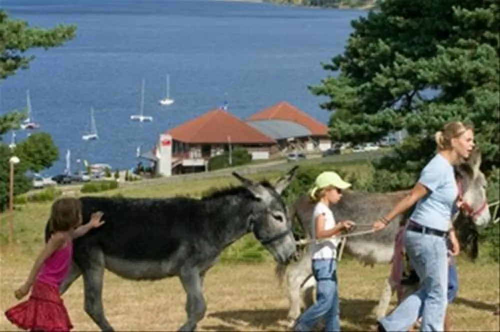 Les Terrasses du lac de Naussac
