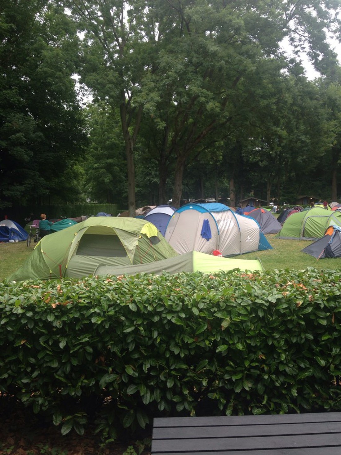 Camping Vliegenbos in Niederlande - Spottocamp - Spottocamp