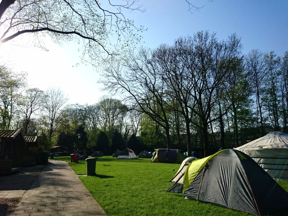 Camping Vliegenbos