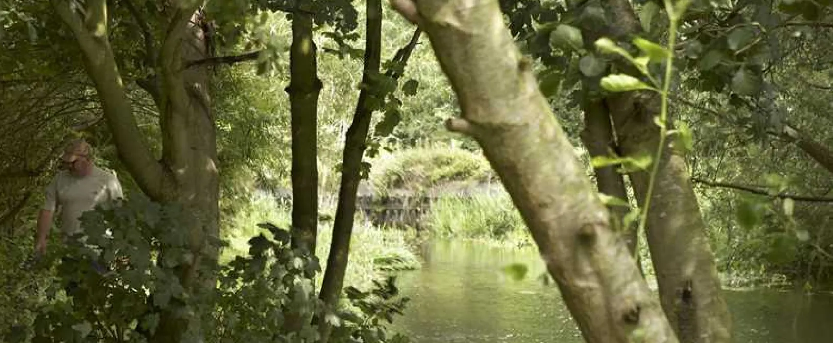 Norwich Camping and Caravanning Club Site