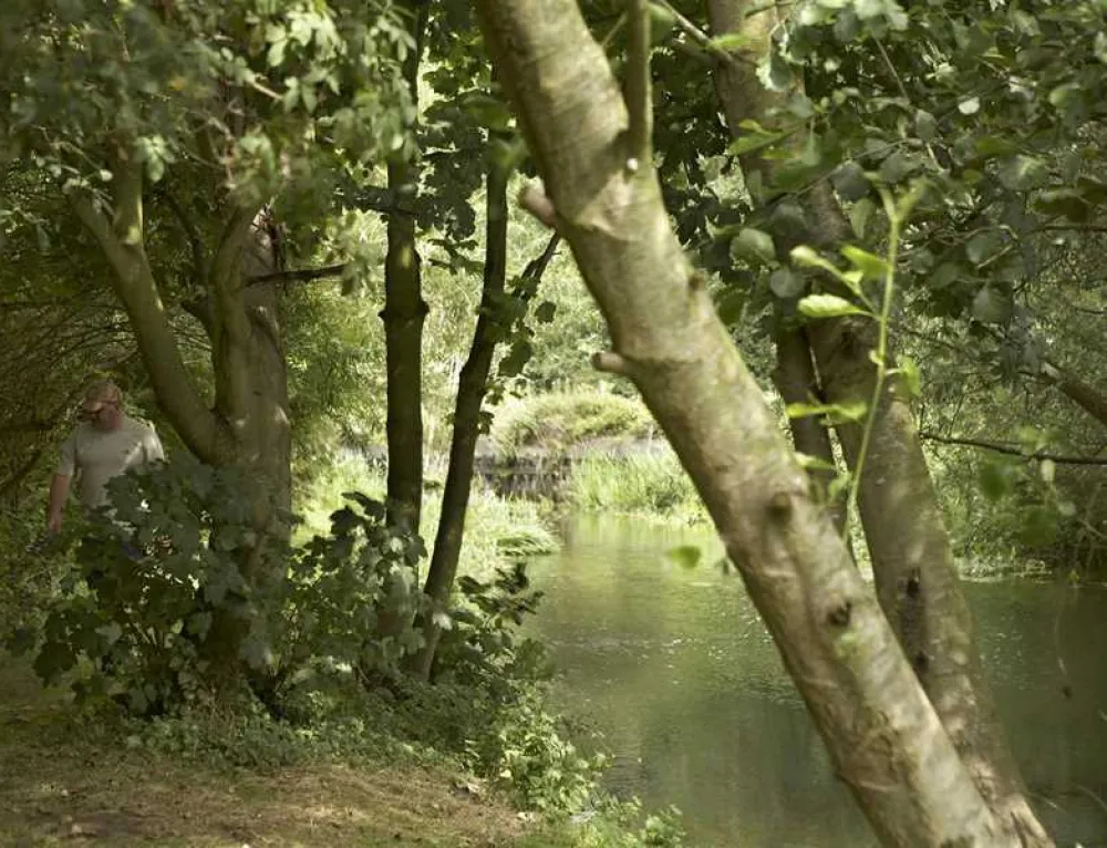 Norwich Camping and Caravanning Club Site