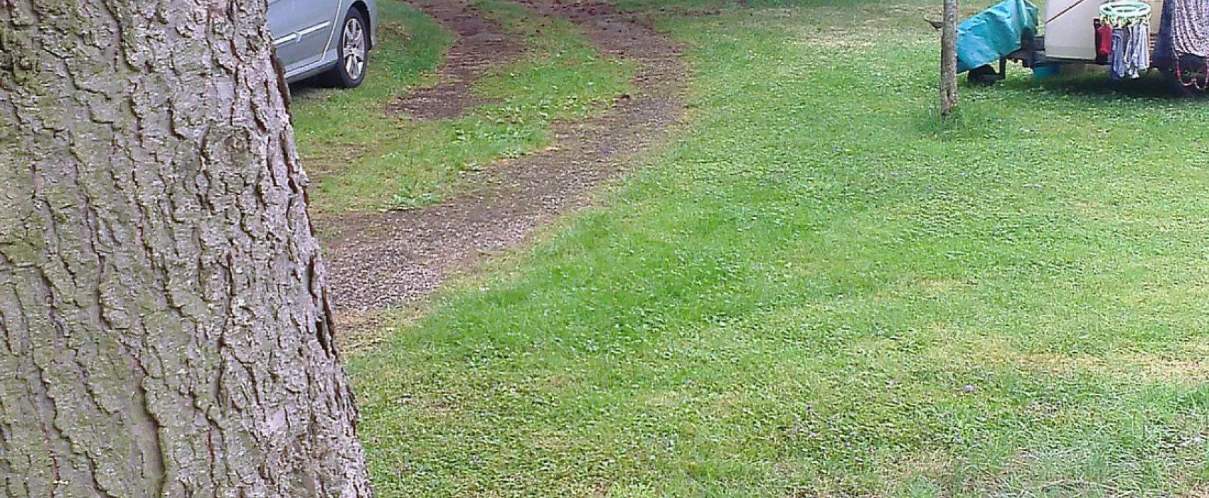 Camping Du Haut-koenigsbourg  