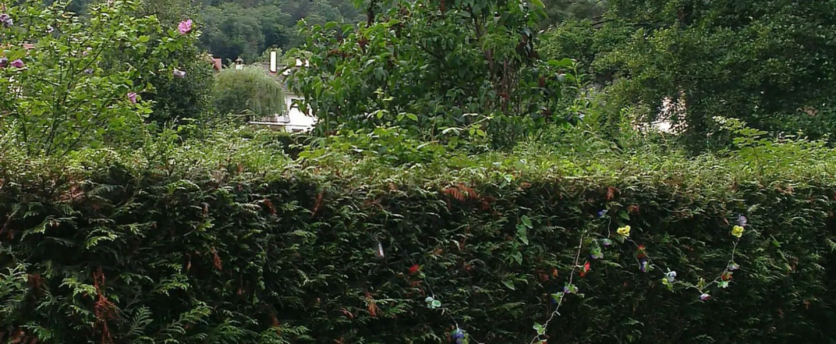 Camping Du Haut-koenigsbourg  