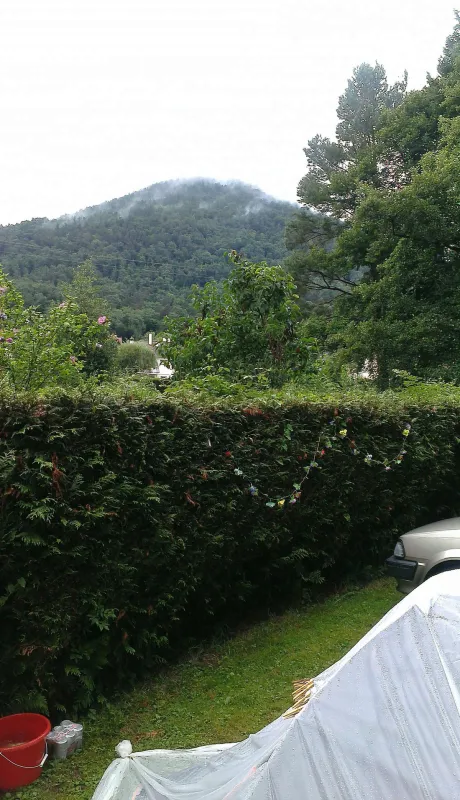 Camping Du Haut-koenigsbourg  