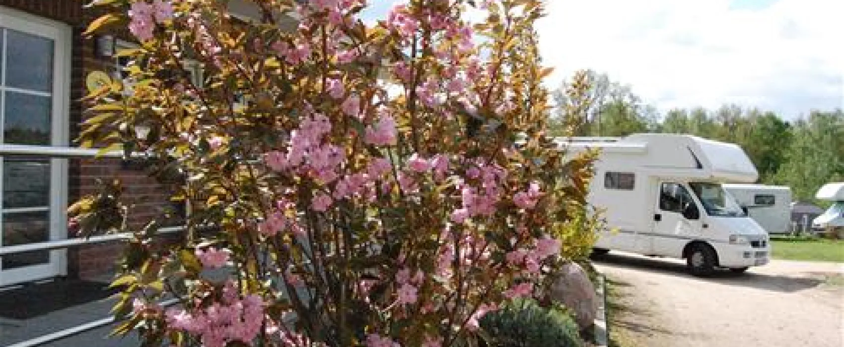 Wildpark-Camping Schwarze Berge