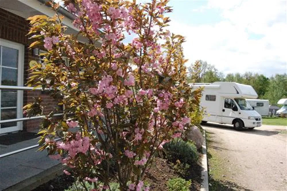 Wildpark-Camping Schwarze Berge