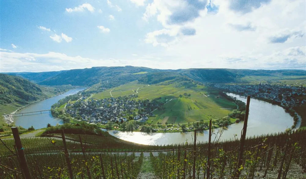 Mosel-Camping Rissbach