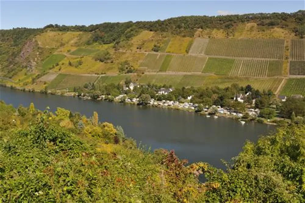 Mosel-Camping Rissbach