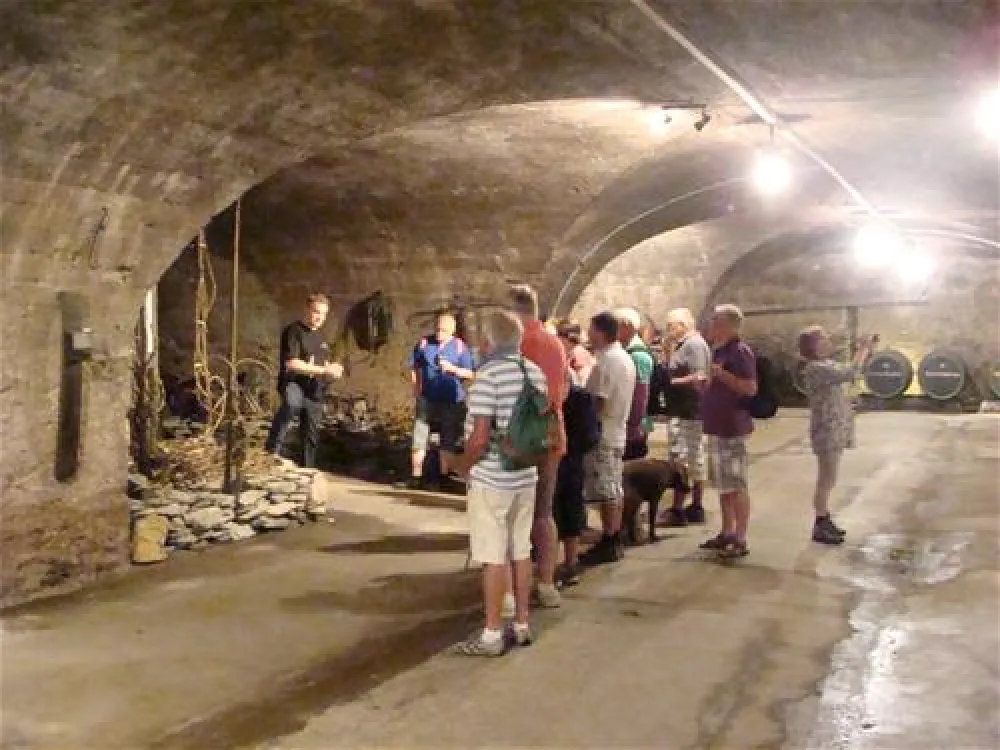 Mosel-Camping Rissbach