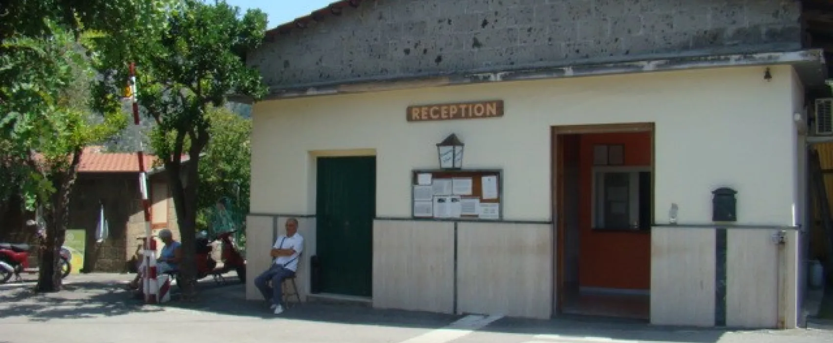 Campeggio I Pini International