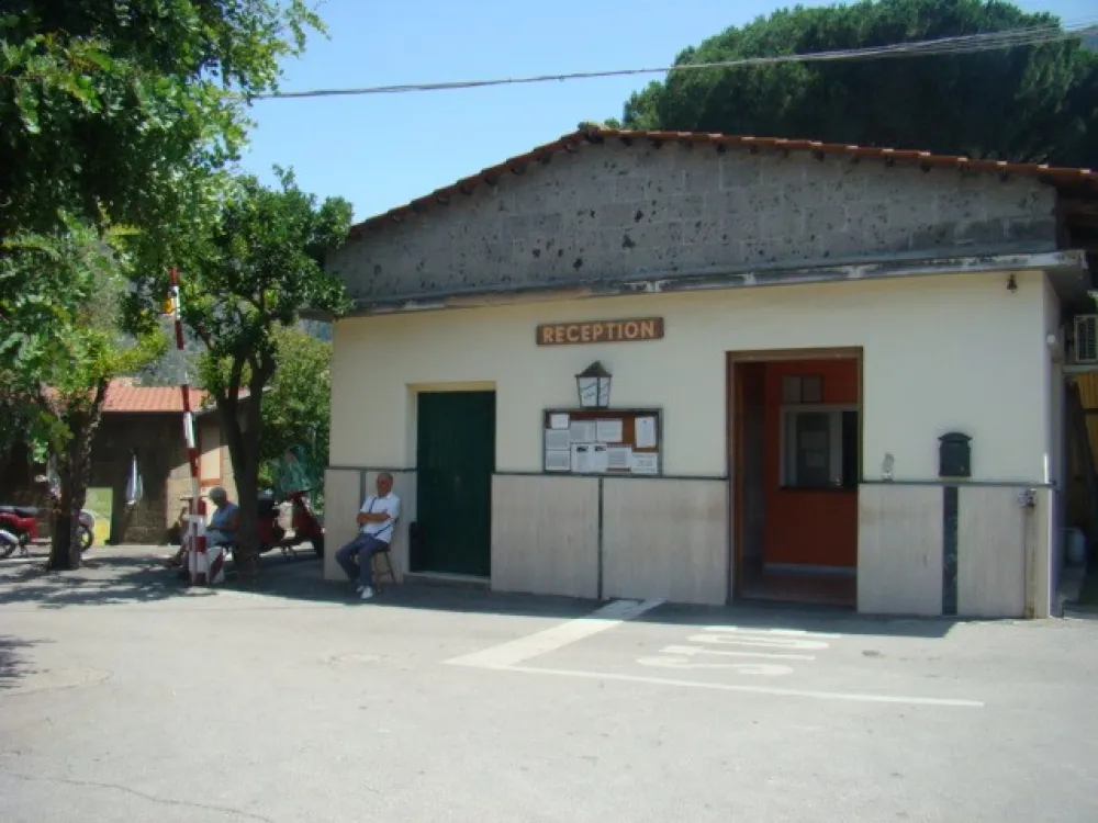 Campeggio I Pini International