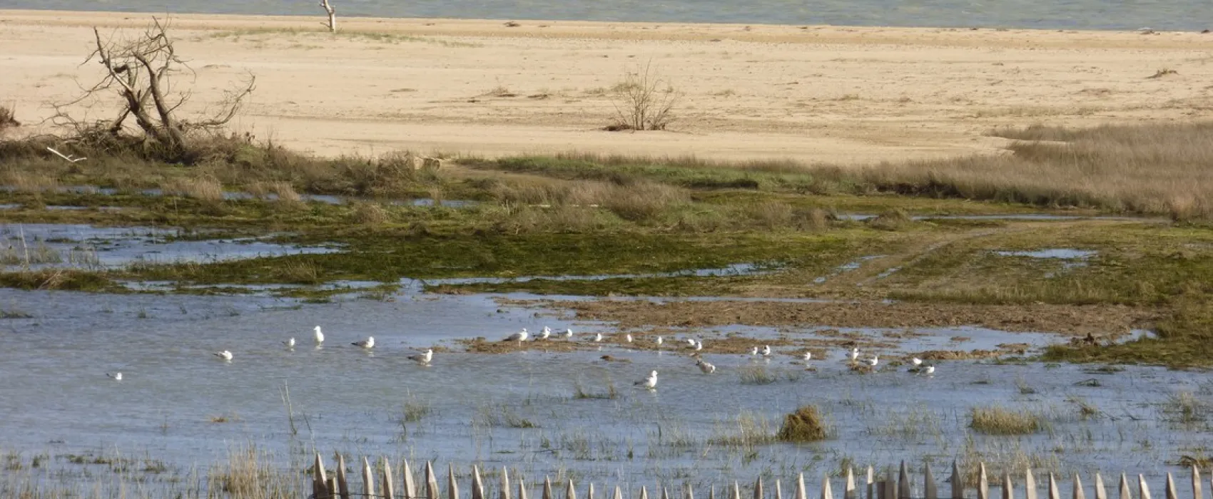Camping La Belle Henriette