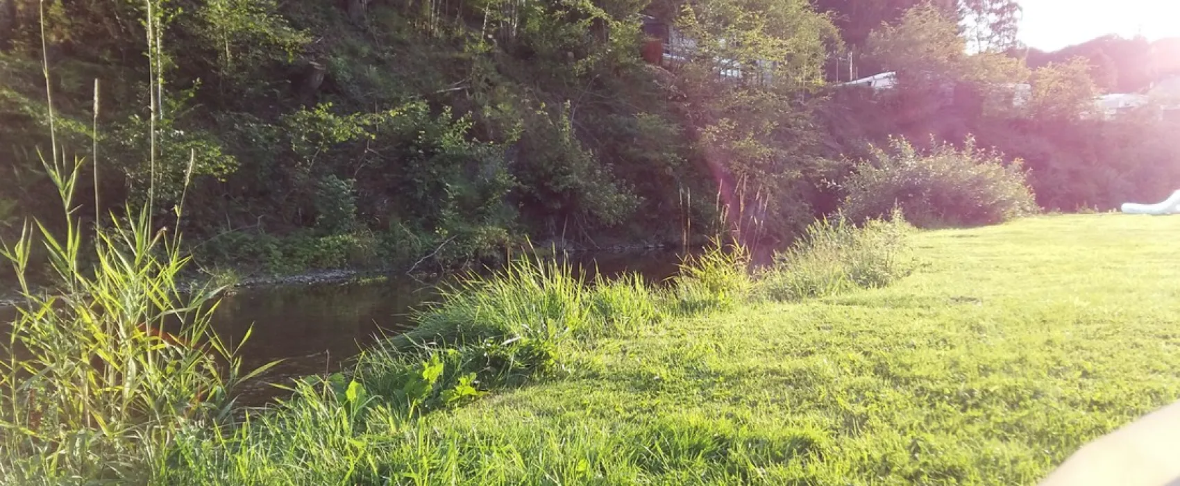 Camping Saint Willibrord