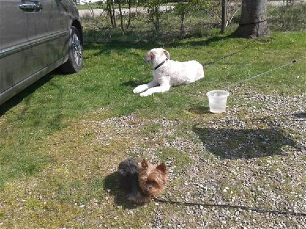 Camping Ostsee Katharinenhof