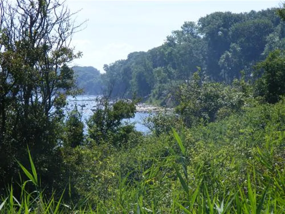 Camping Ostsee Katharinenhof