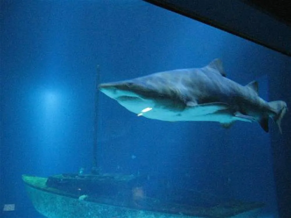 Camping Ostsee Katharinenhof