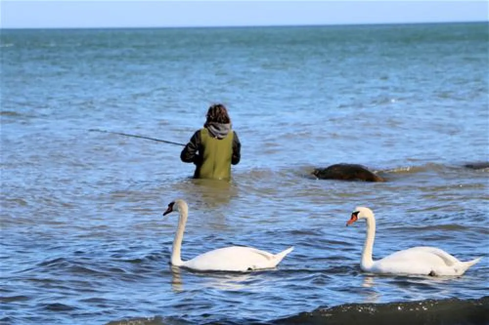 Camping Ostsee Katharinenhof