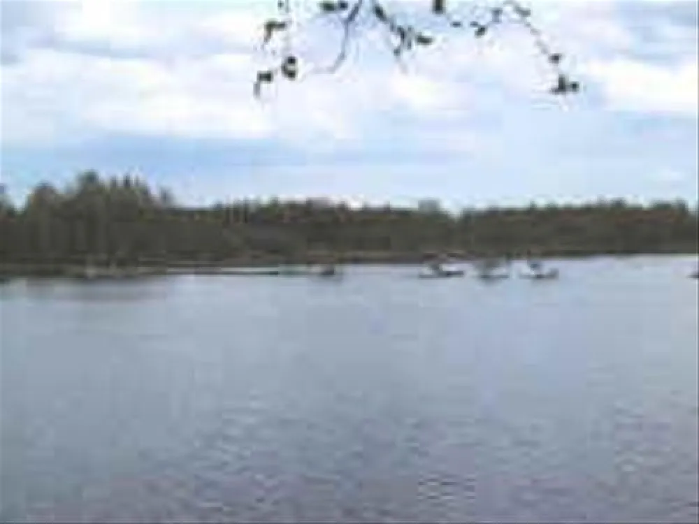 Camping de Goede Hoop