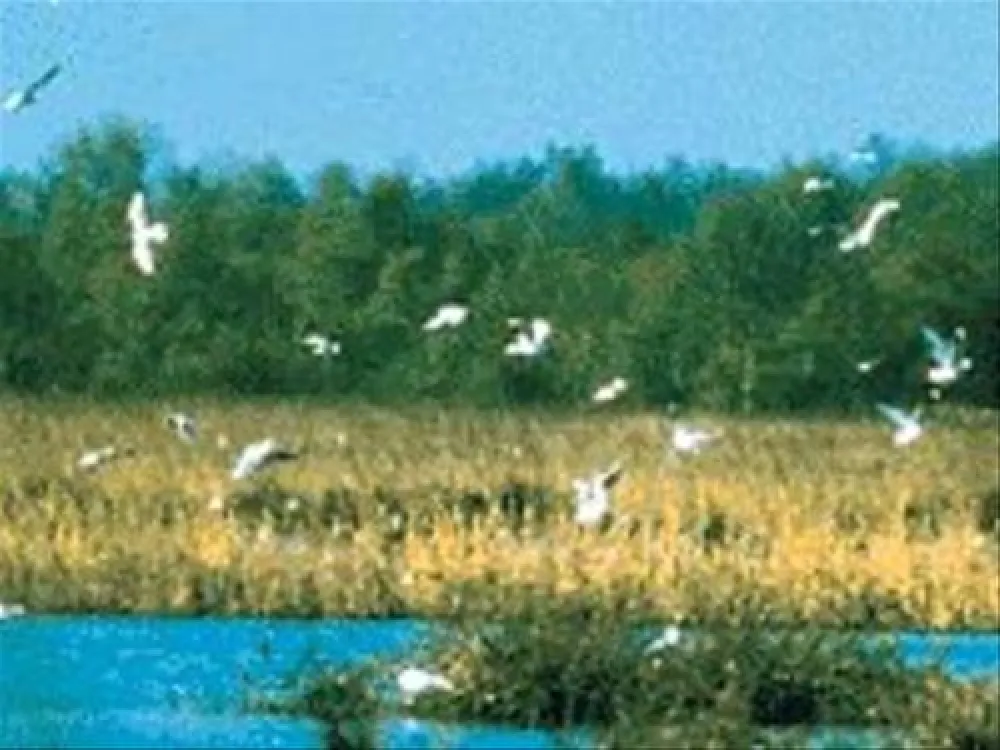 Camping de Goede Hoop