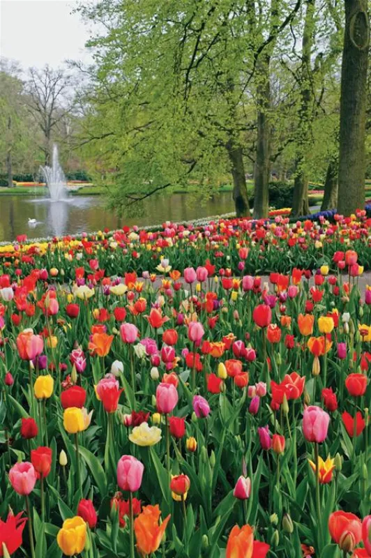 Recreatiecentrum De Noordduinen