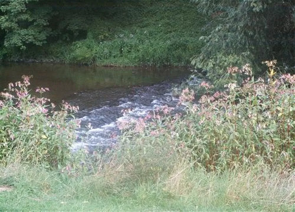 Campingplatz "Am Ahrtor"