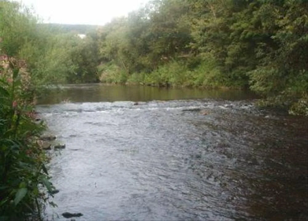Campingplatz "Am Ahrtor"