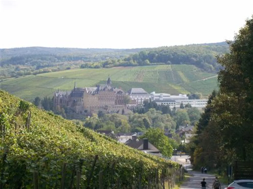 Campingplatz "Am Ahrtor"