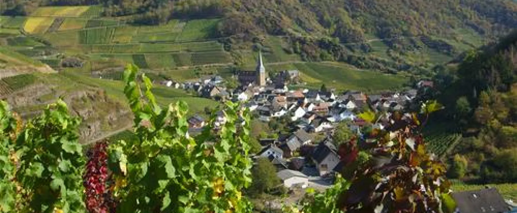 Camping Zur Burgwiese