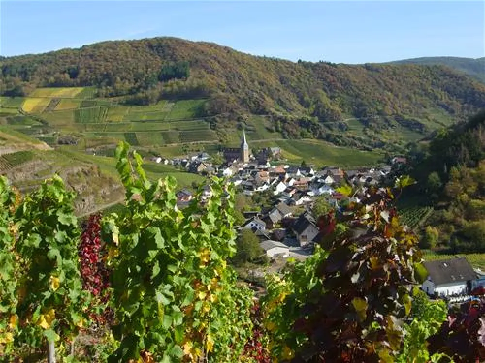 Camping Zur Burgwiese