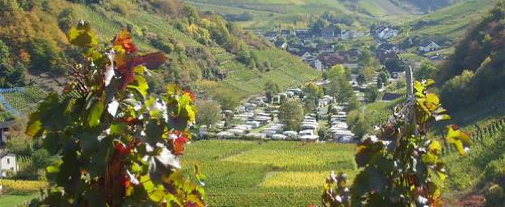 Camping Zur Burgwiese