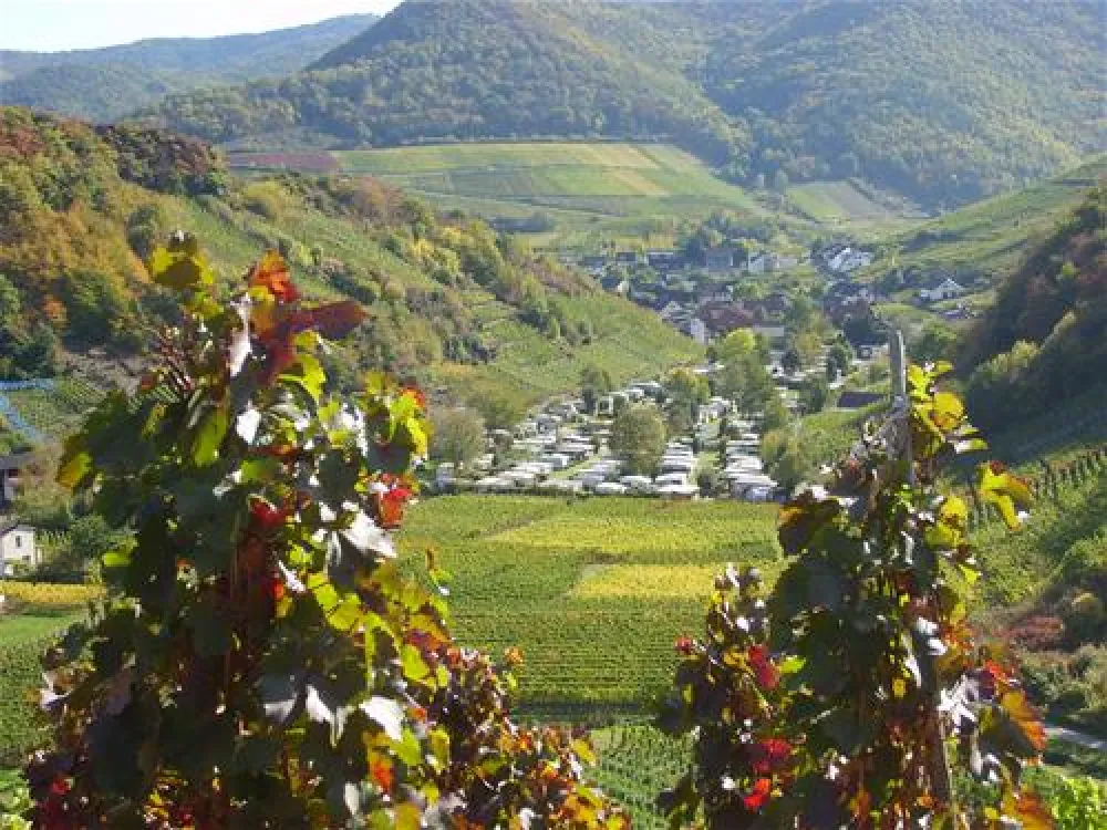 Camping Zur Burgwiese