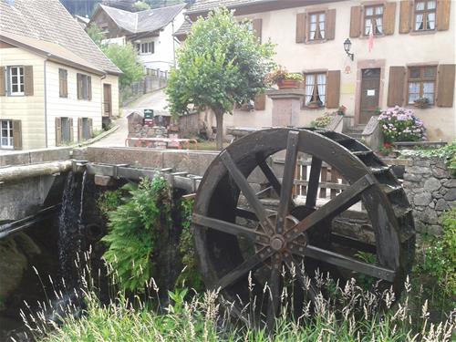 Camping Municipal Les Verts Bois photo 5