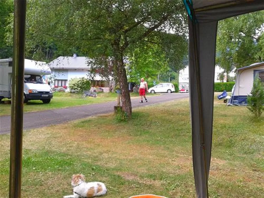 Camping Municipal Les Verts Bois