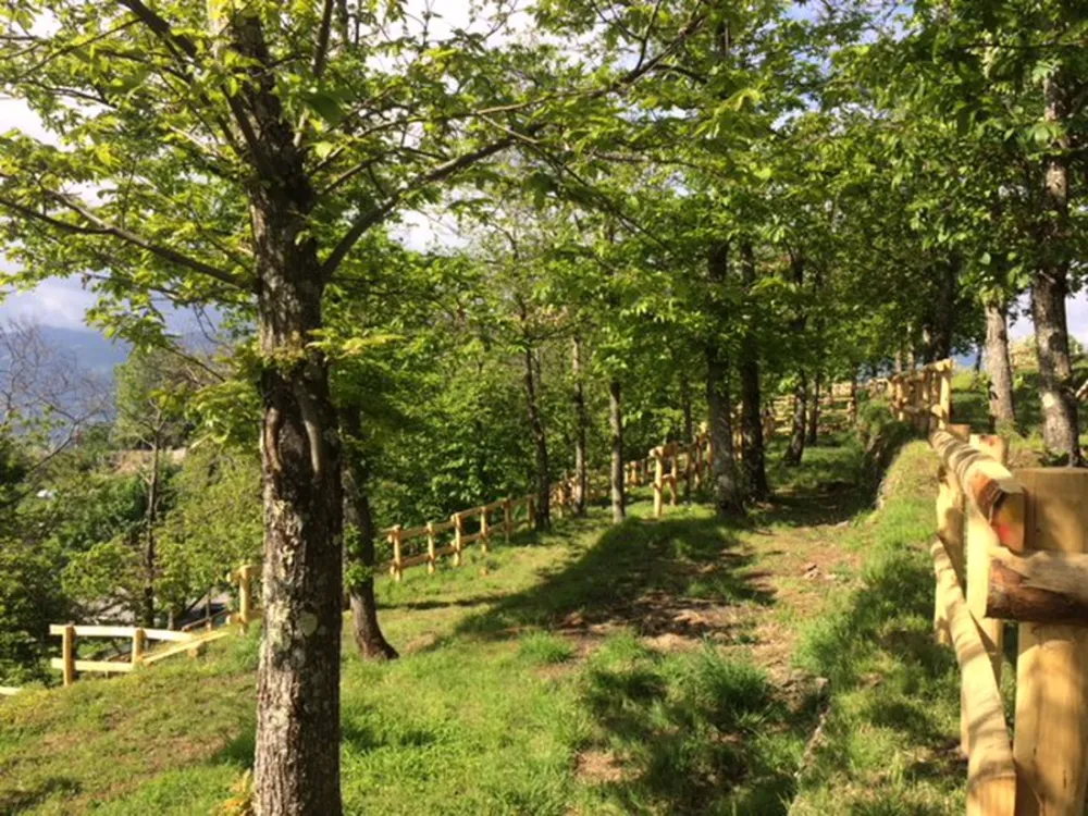 Camping Pian d'Amora