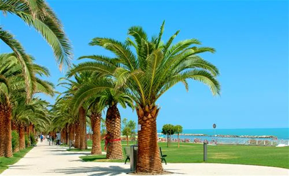 Camping Village Don Diego