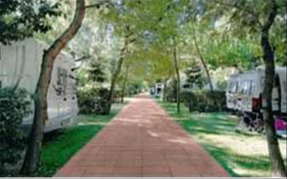 Camping Village Don Diego