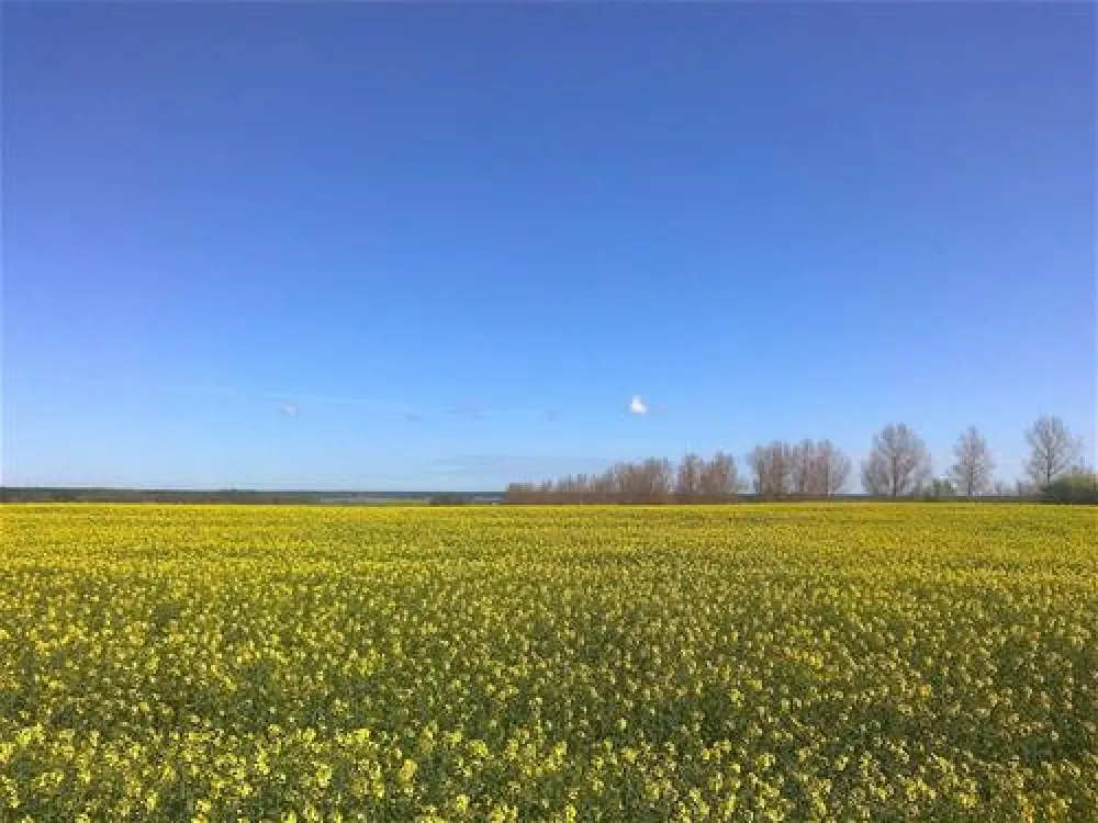 Camping- und Wohnmobilpark Naturcamping Malchow