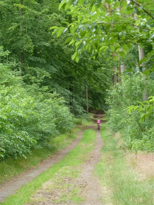 Camping- und Wohnmobilpark Naturcamping Malchow