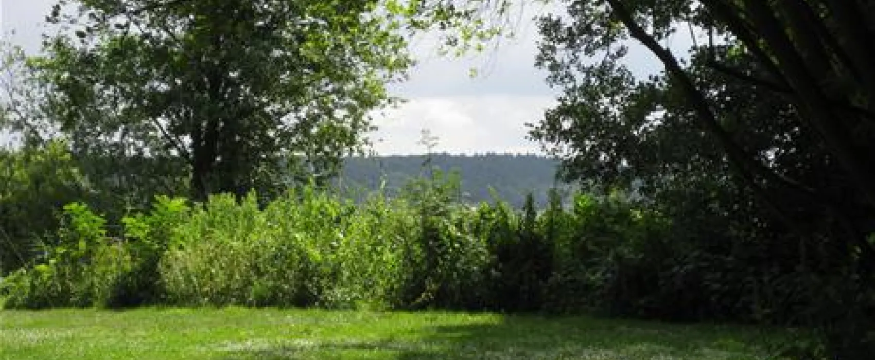 Campingplatz Leisten