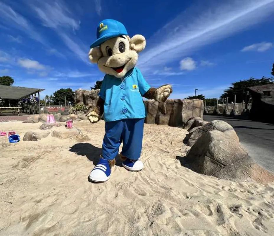 Monkey Tree Holiday Park