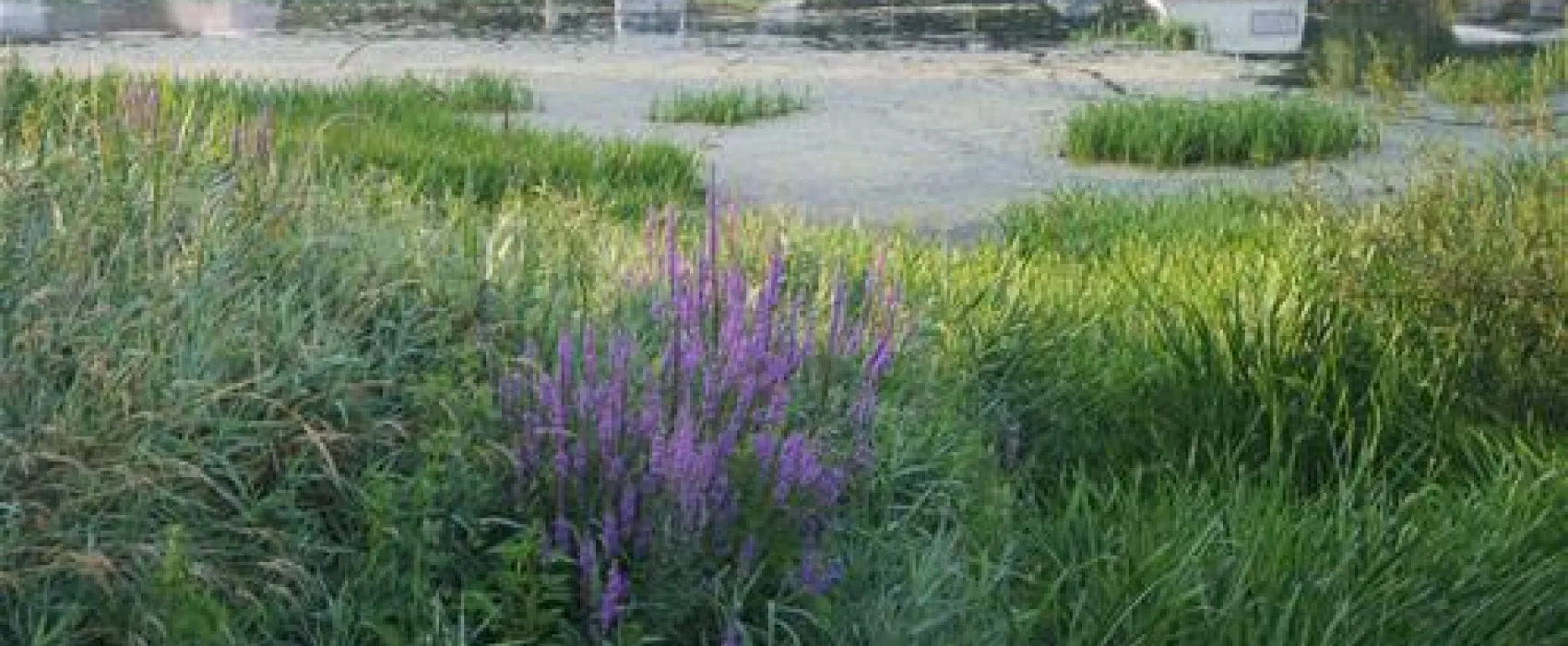 Camping Municipal Sous Le Moulin