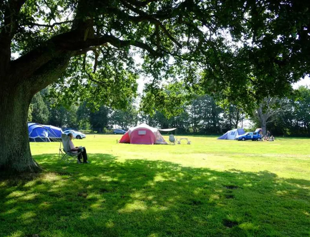 South Lytchett Manor Caravan and Camping Park